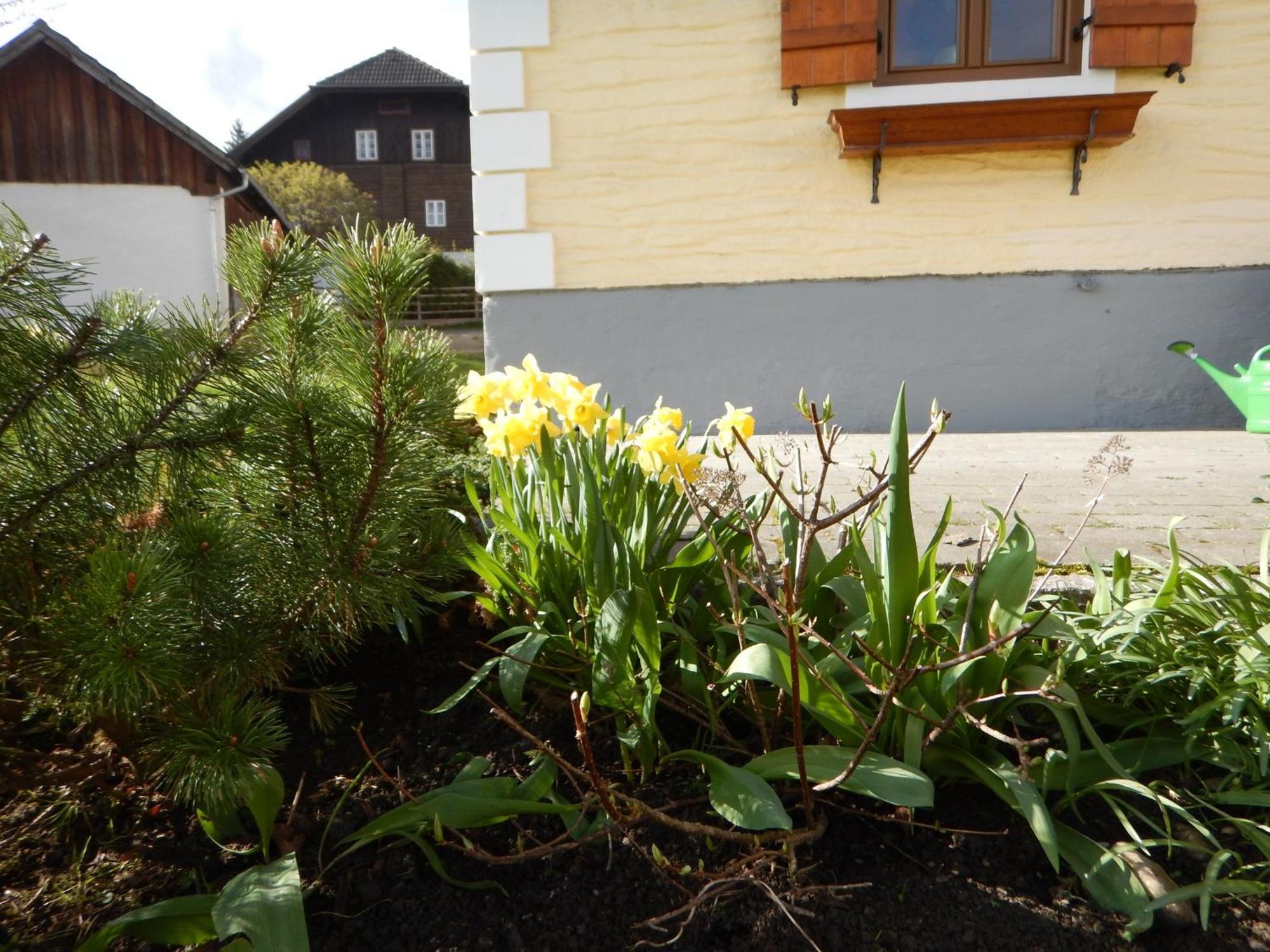 Apartment Kasparbauer Sankt Michael im Lungau